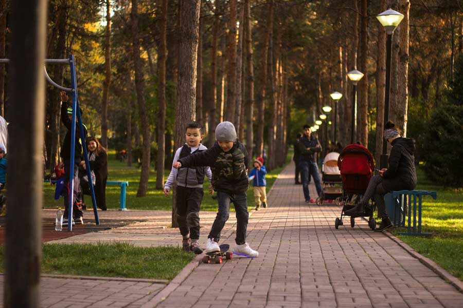 Paniflov Park