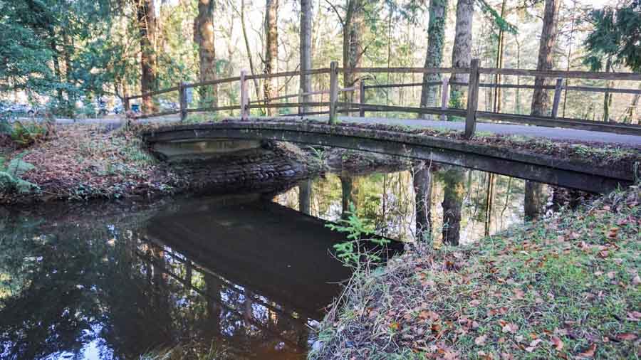 New Forest National Park