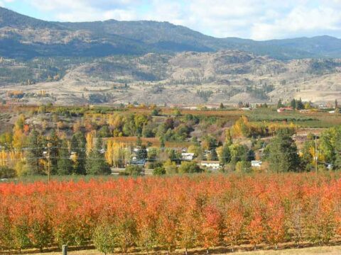 Okanagan Valley Canada