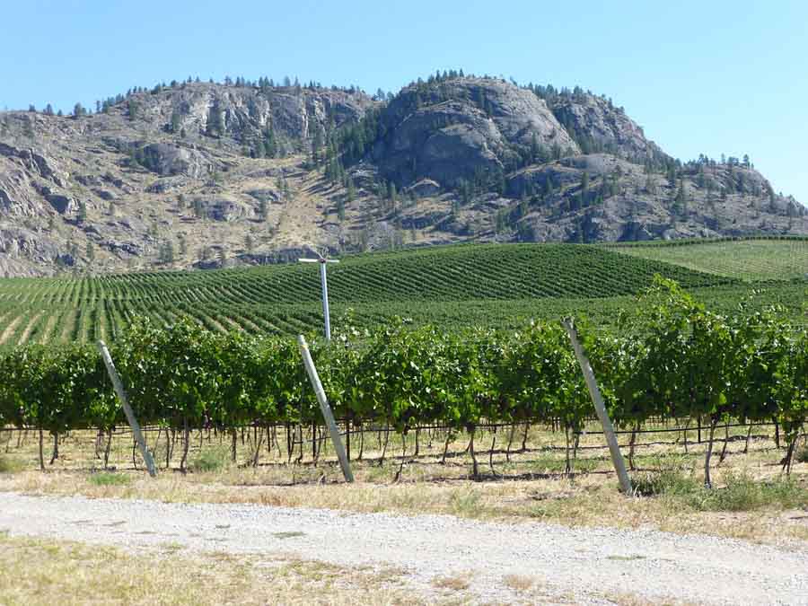 A Beginner’s Guide to Travel in the Okanagan, BC