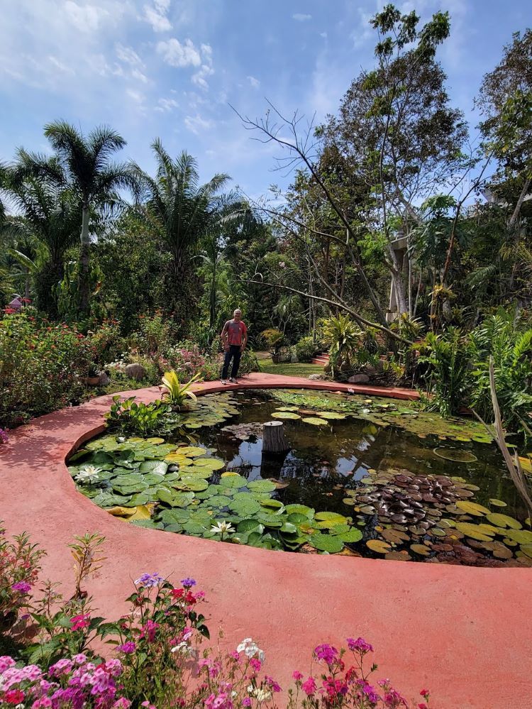 Enjoy the Vallarta Botanical Gardens