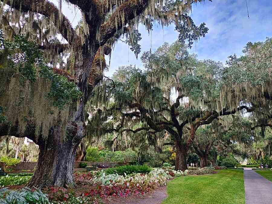 Brookgreen Gardens