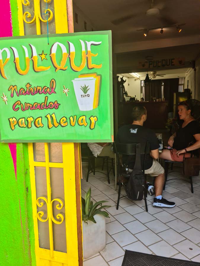 A local pulque tasting