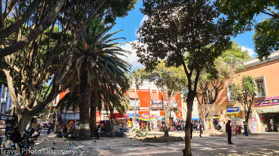 Walk through a pedestrian promenade at 5 de Mayo