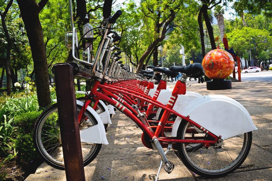Go Biking around Chapultepec Park