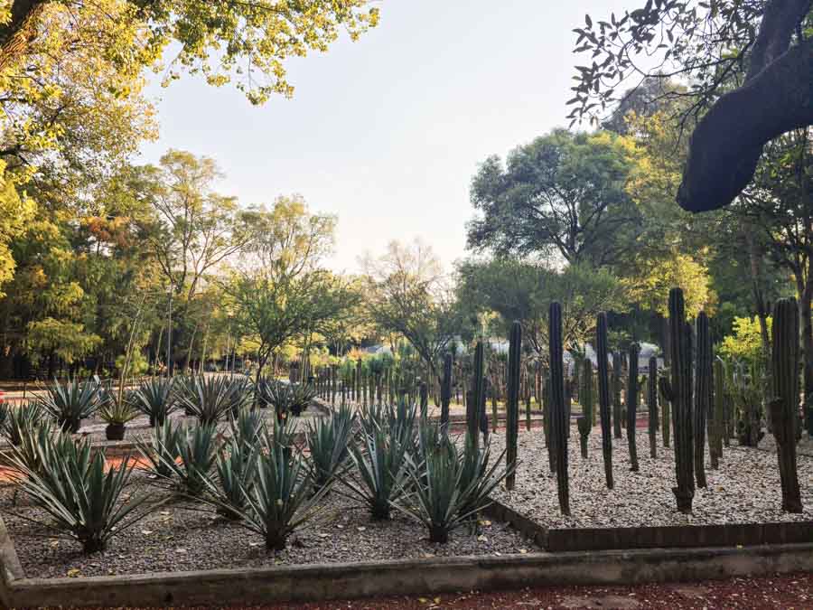Chapultepec Botanical Gardens