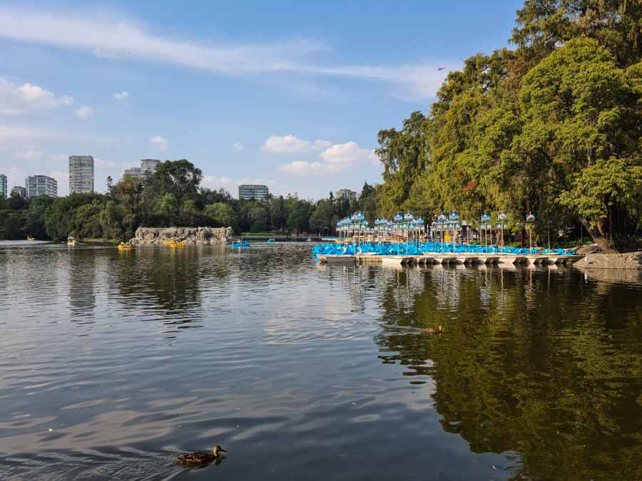 Exploring Chapultepec Lake