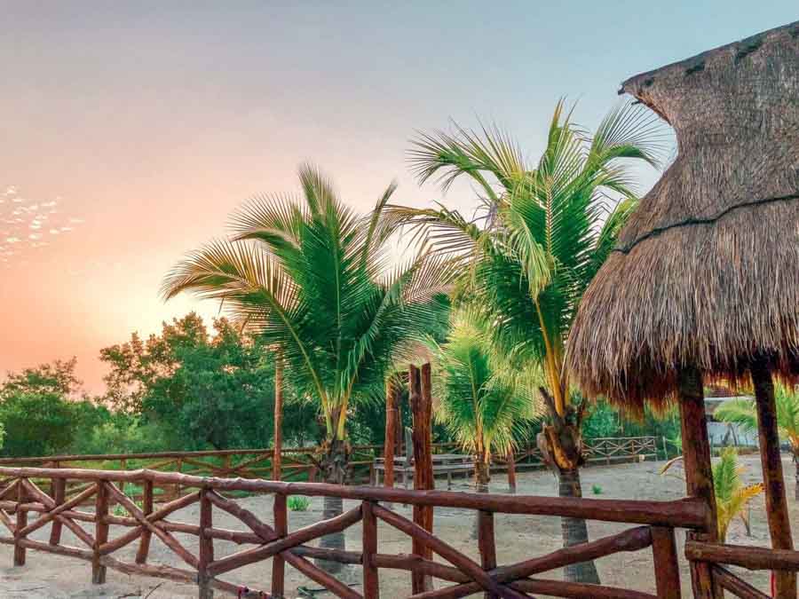 Enjoy the Island of Holbox