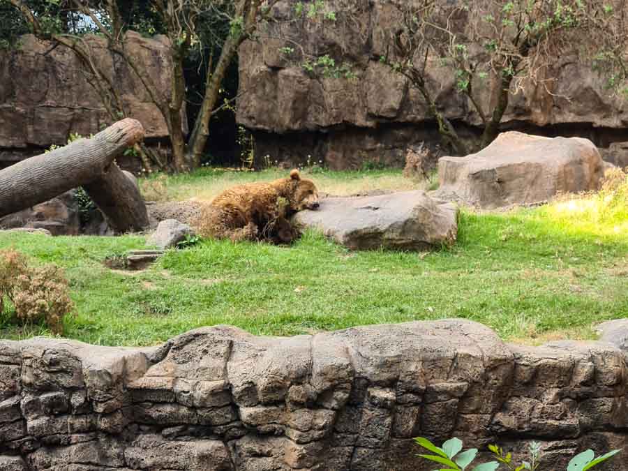 Chapultepec Park Zoo