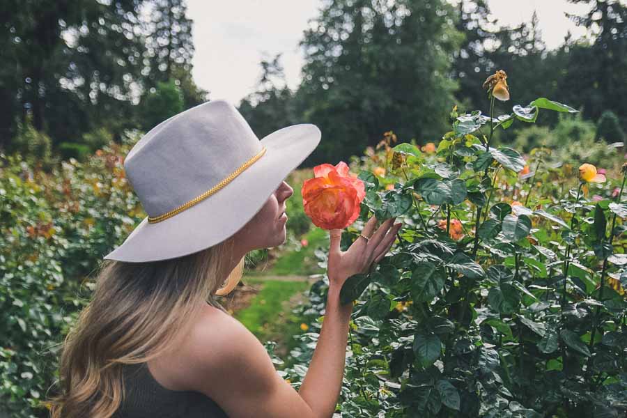 International Rose Test Garden