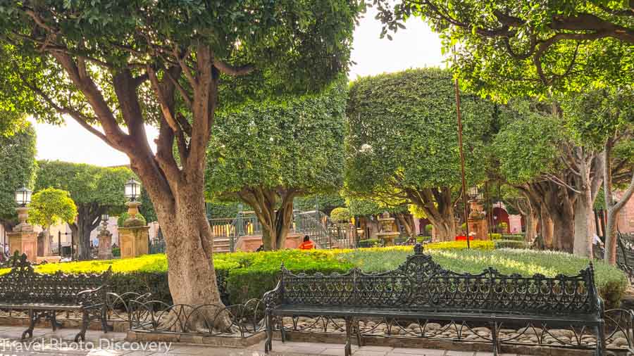 El Jardin – the main square