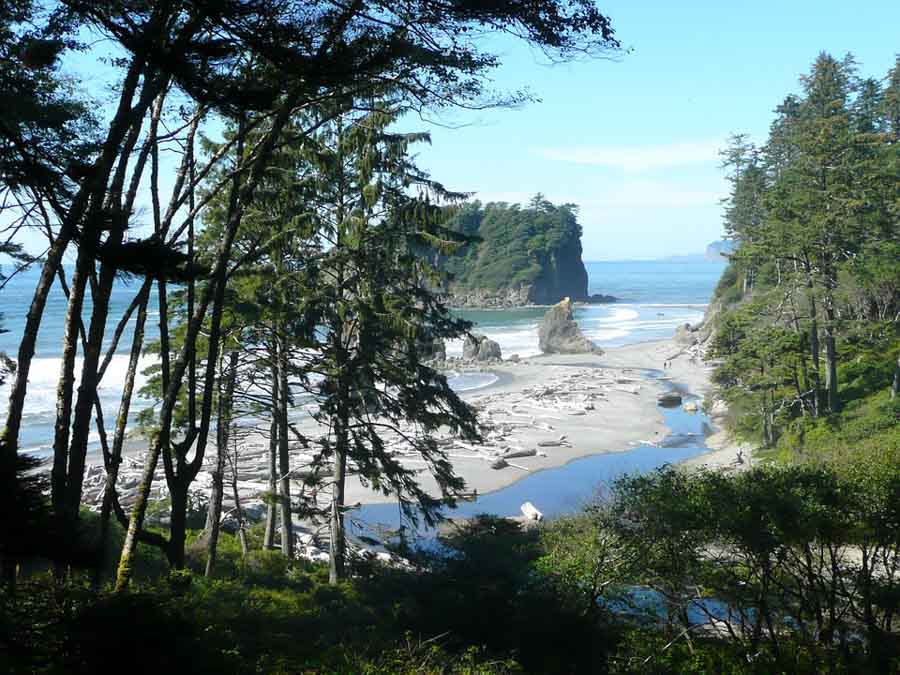 Things to do in Olympic National Park