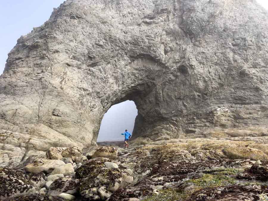 Tips for Olympic National Park