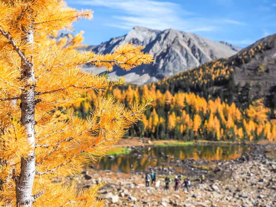 Kananaskis Country