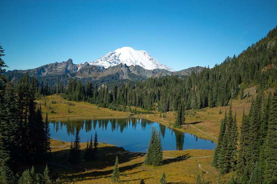 Mount Rainier National Park