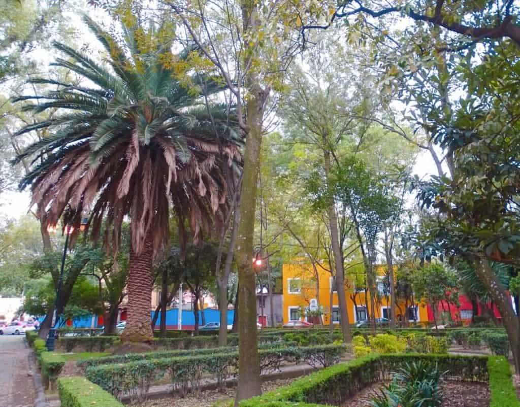 Coyoacan Square, Mexico city