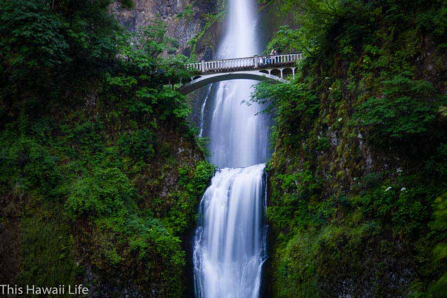  Multnomah Falls