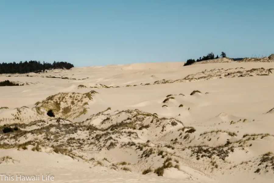 Sand Dunes Recreation Area