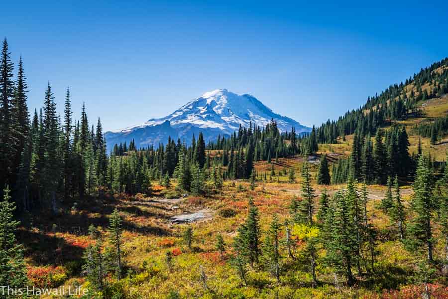 Mount Rainer National Park