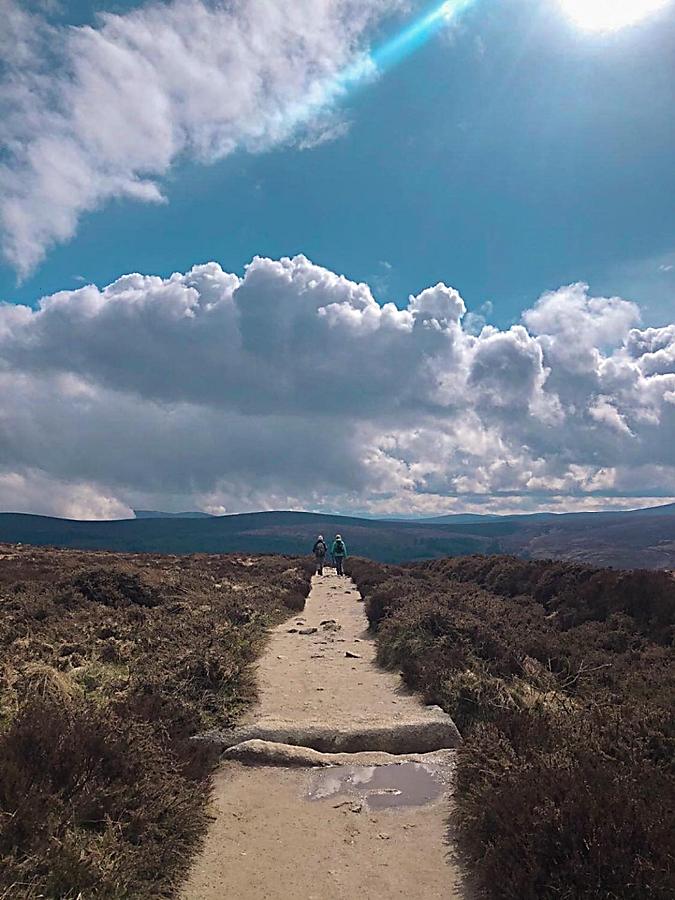 Roam Freely Along The Dublin Mountains Way