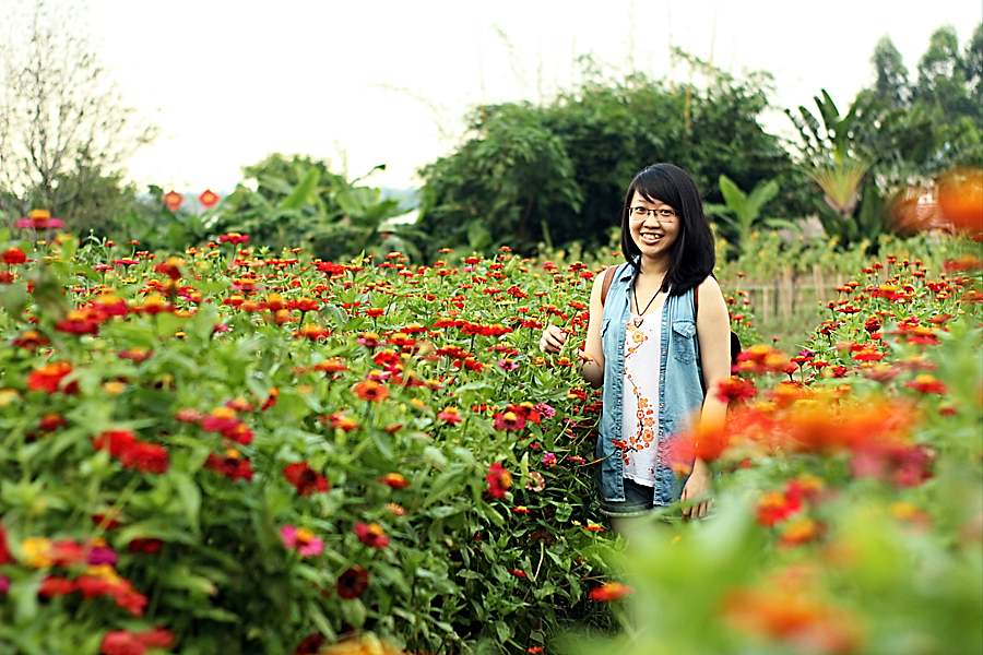 Bai Da Song Hong Flower Field in Hanoi
