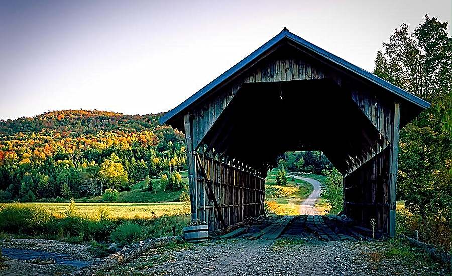 Conclusion to a New England Fall season