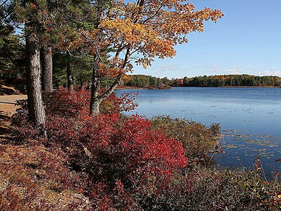 Road trip through Acadia National Park