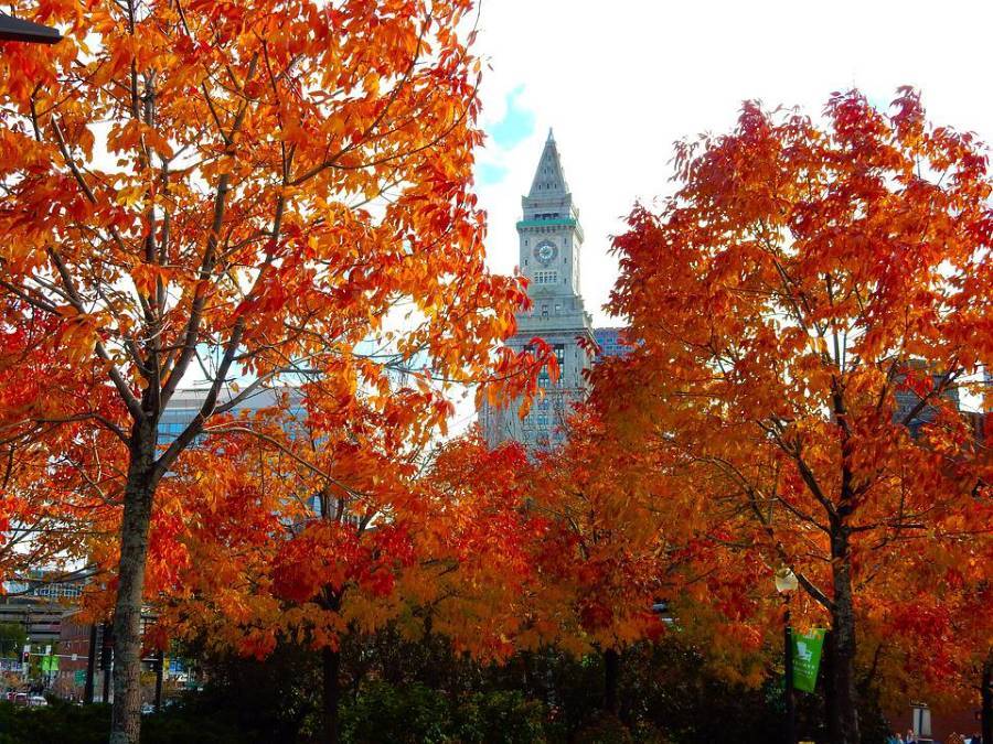boston for fall season