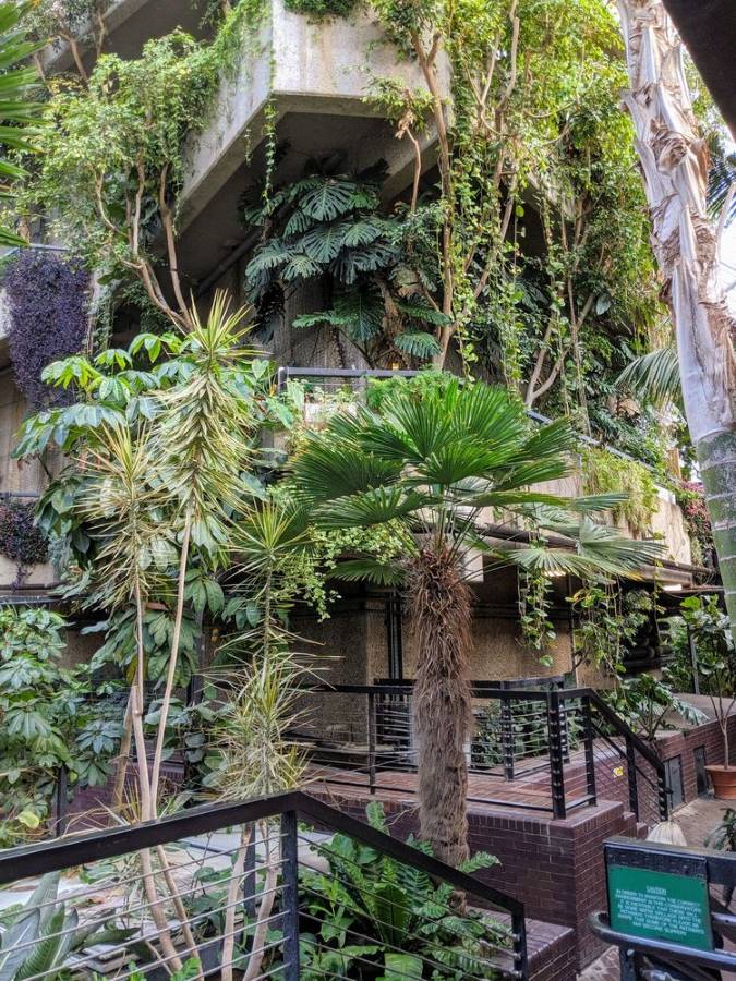 Tropical gardens at the Barbican