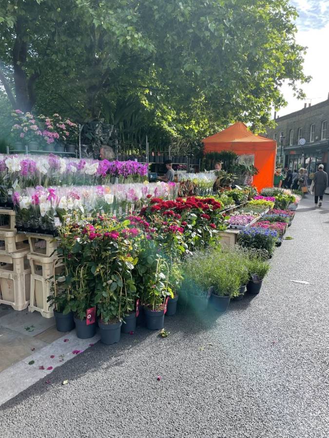 Columbia Road Flower market