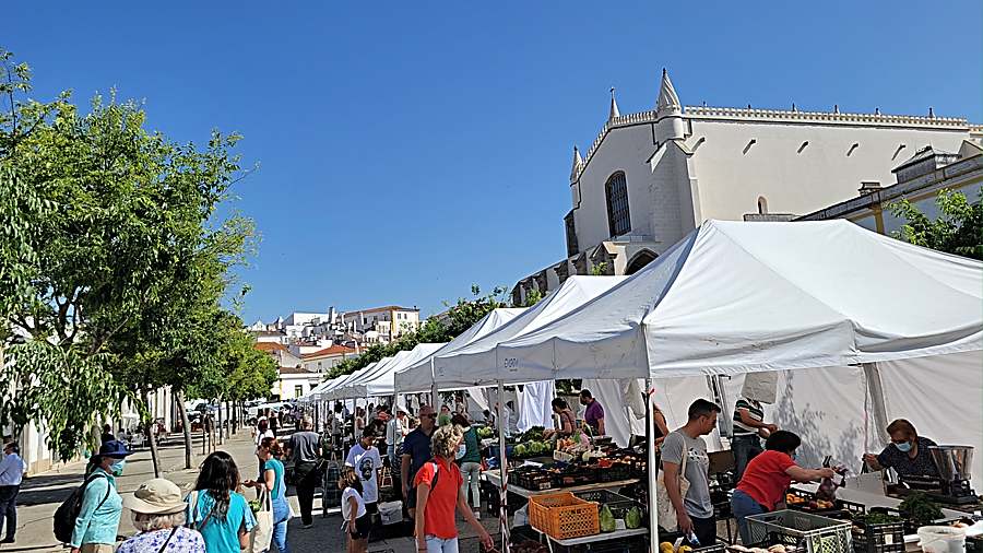 Visit the city center Evora Market and public market days