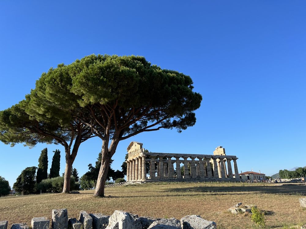 A little history about the Greek temples of Paestum