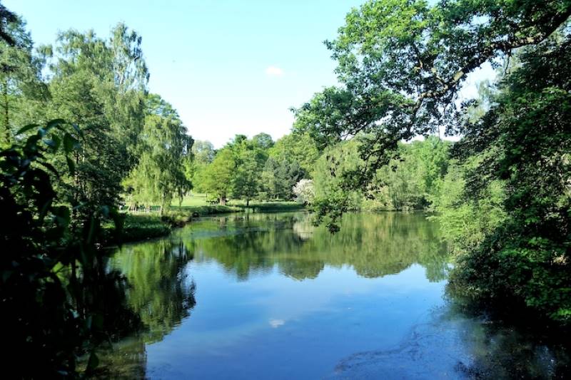 Hampstead Heath