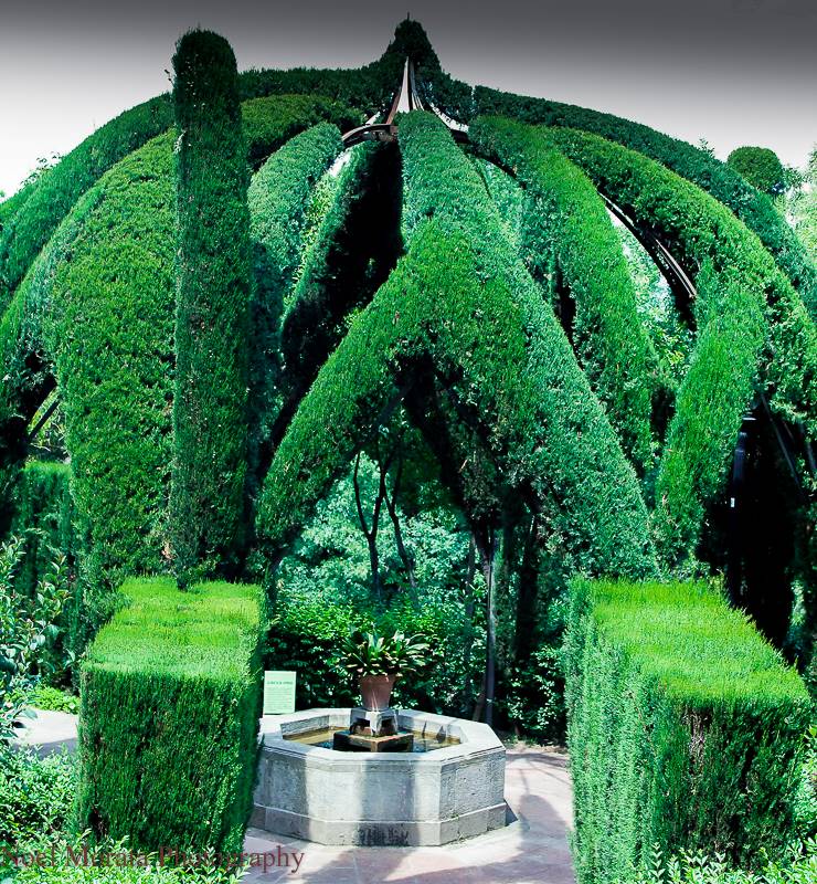 Gardens of Montjuic