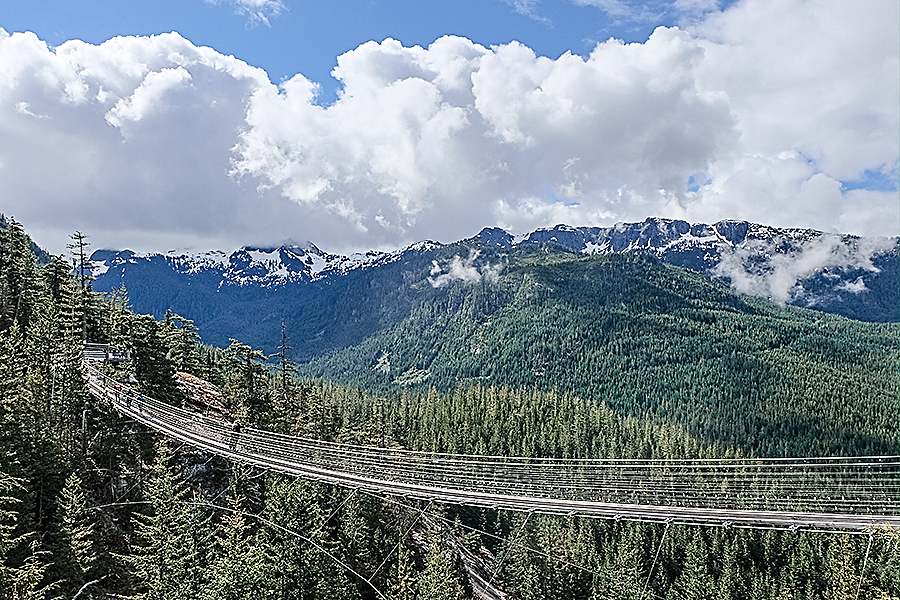 Sky Pilot Suspension Bridge