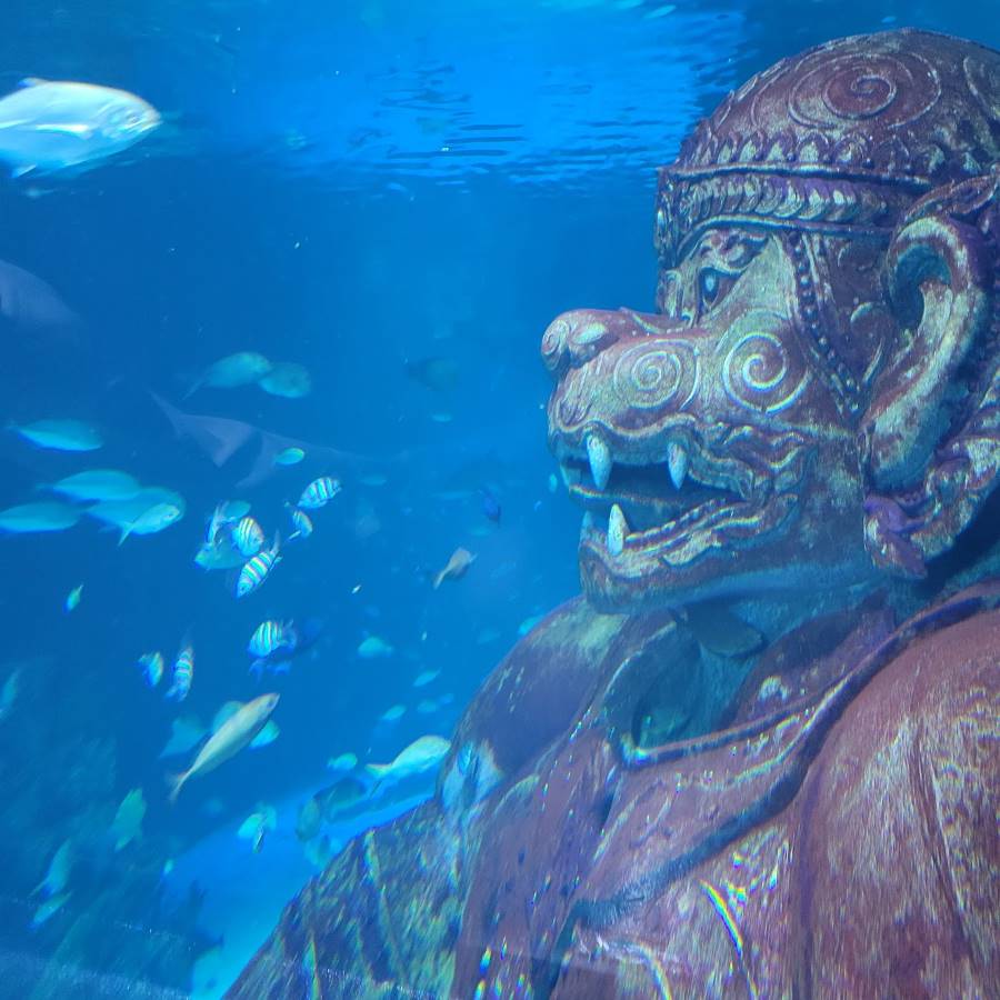 Phuket Aquarium - Aquaria