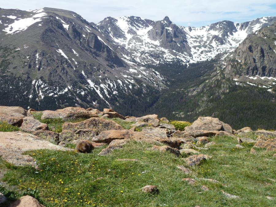 Rocky Moutain National Park