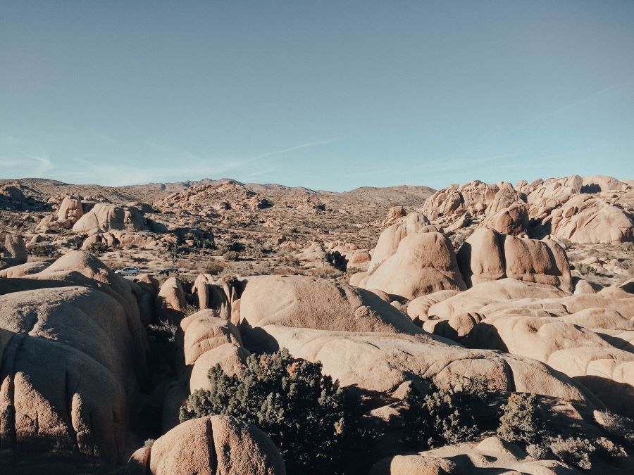 Explore Joshua Tree National Park