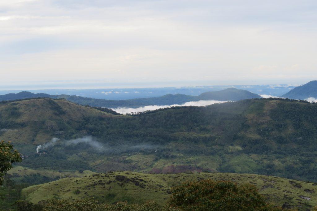 Sinharaja Forest Reserve, Sri Lanka