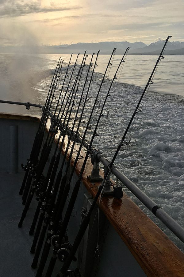 Alaska Halibut Fishing Adventure