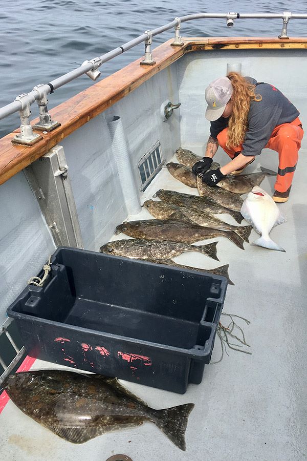 Alaska Halibut Fishing Adventure