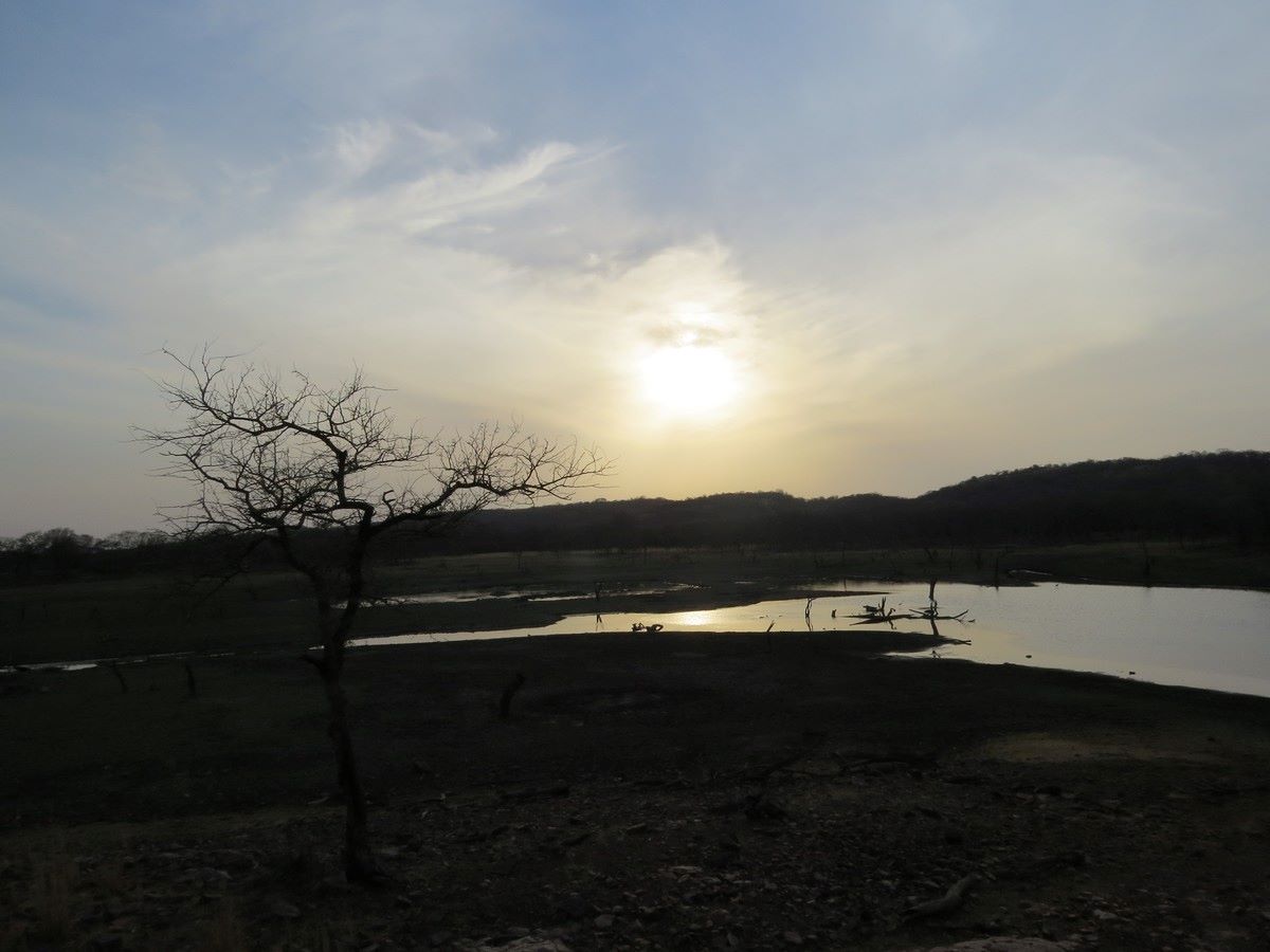 Ranthambore National Park, India Best National Parks India