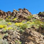Palm Springs attractions