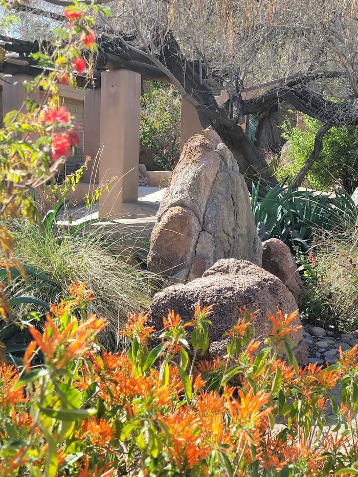 Visit the impressive Botanical Gardens at the Living Desert