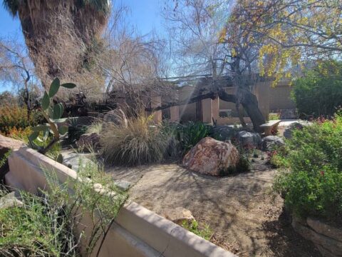 Living Desert Zoo And Gardens