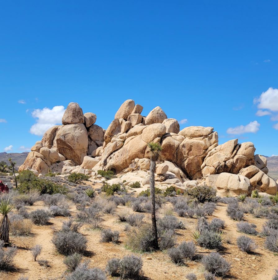 Popular state and national parks to explore close to Palm Springs