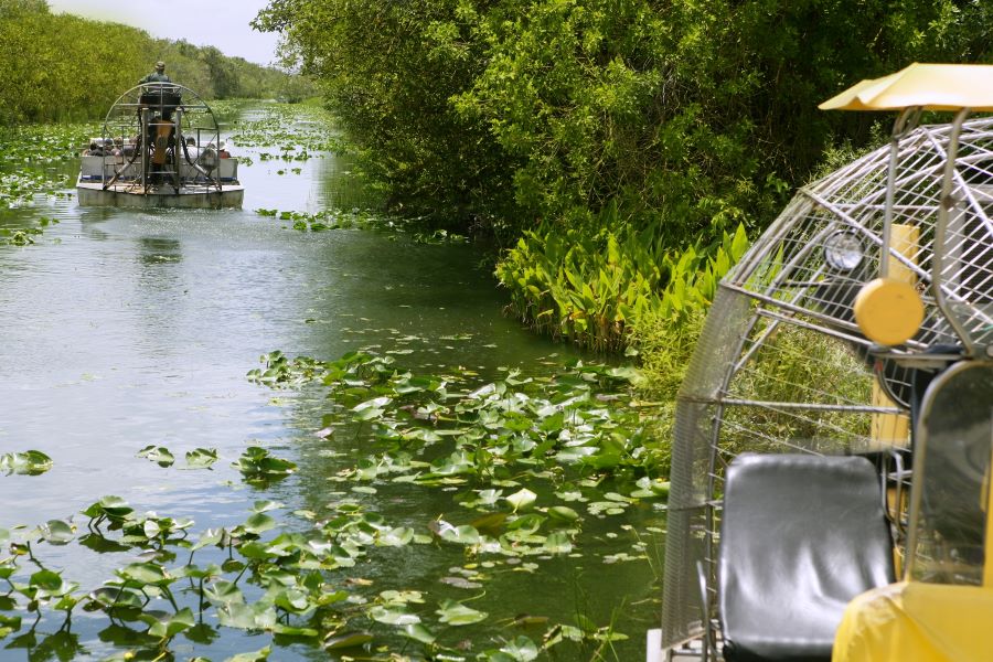 Visit Everglades National Park