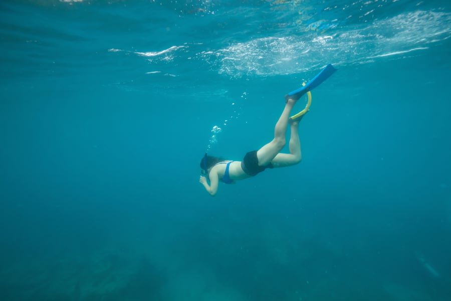 Go Snorkeling for an Underwater Adventure