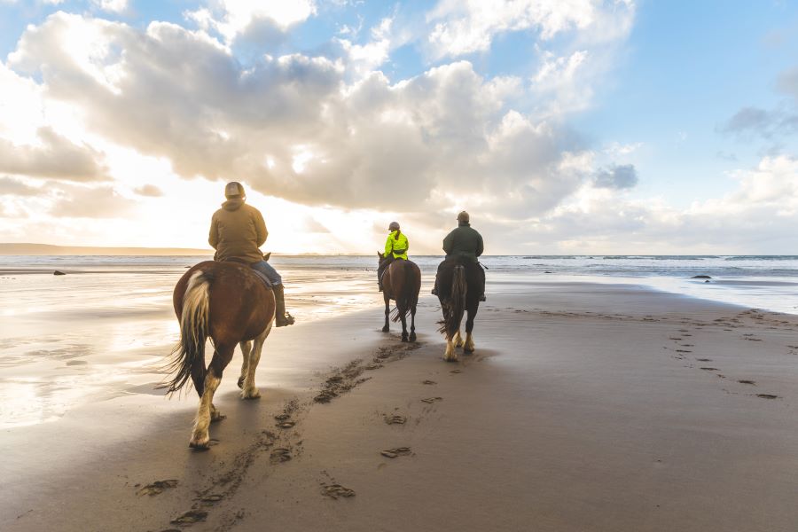 Go Horseback Riding at Hutchinson Island