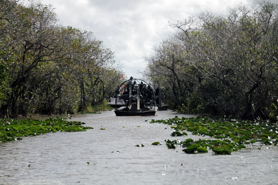 Everglades Airboat Adventure with FREE South Beach Bike Rental